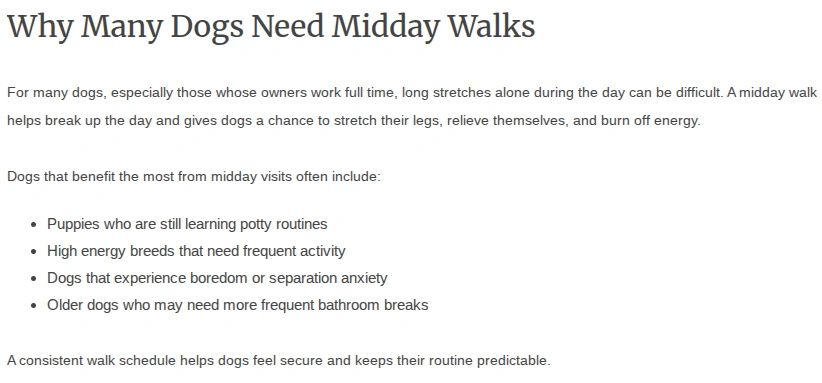 Text explaining why many dogs need midday walks.