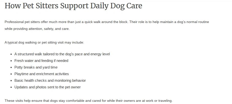 Summary of how pet sitters support daily dog care.