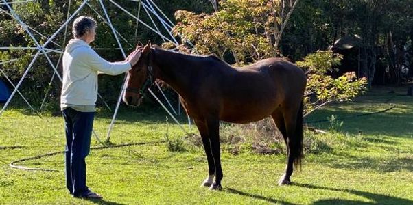 I have worked on cats, dogs, horses, and a wide variety of other animals - both large and small.