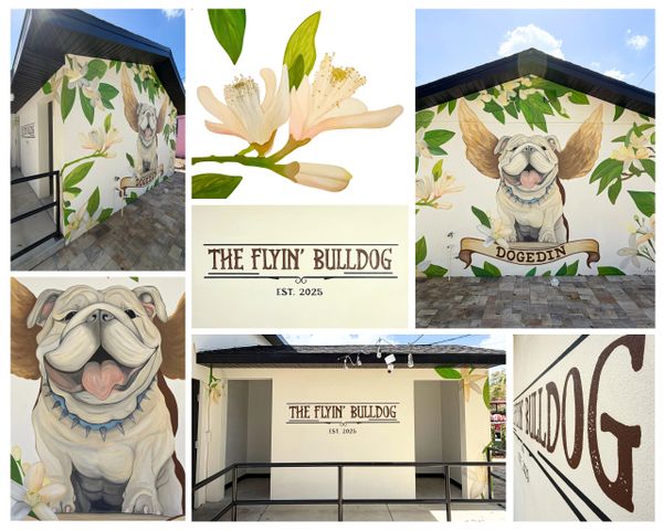 Mural of a flying bulldog with wings on a building called The Flyin' Bulldog, established 2025.