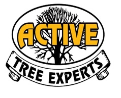 Active Tree Experts 