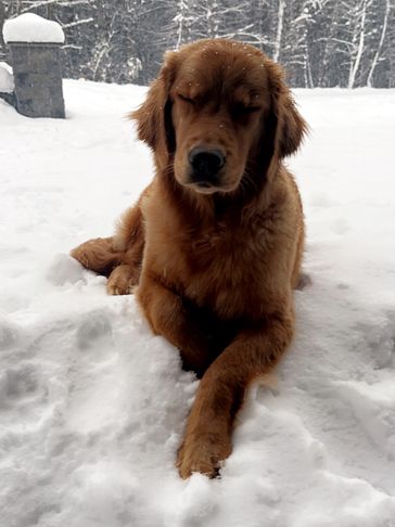 Snow day! 