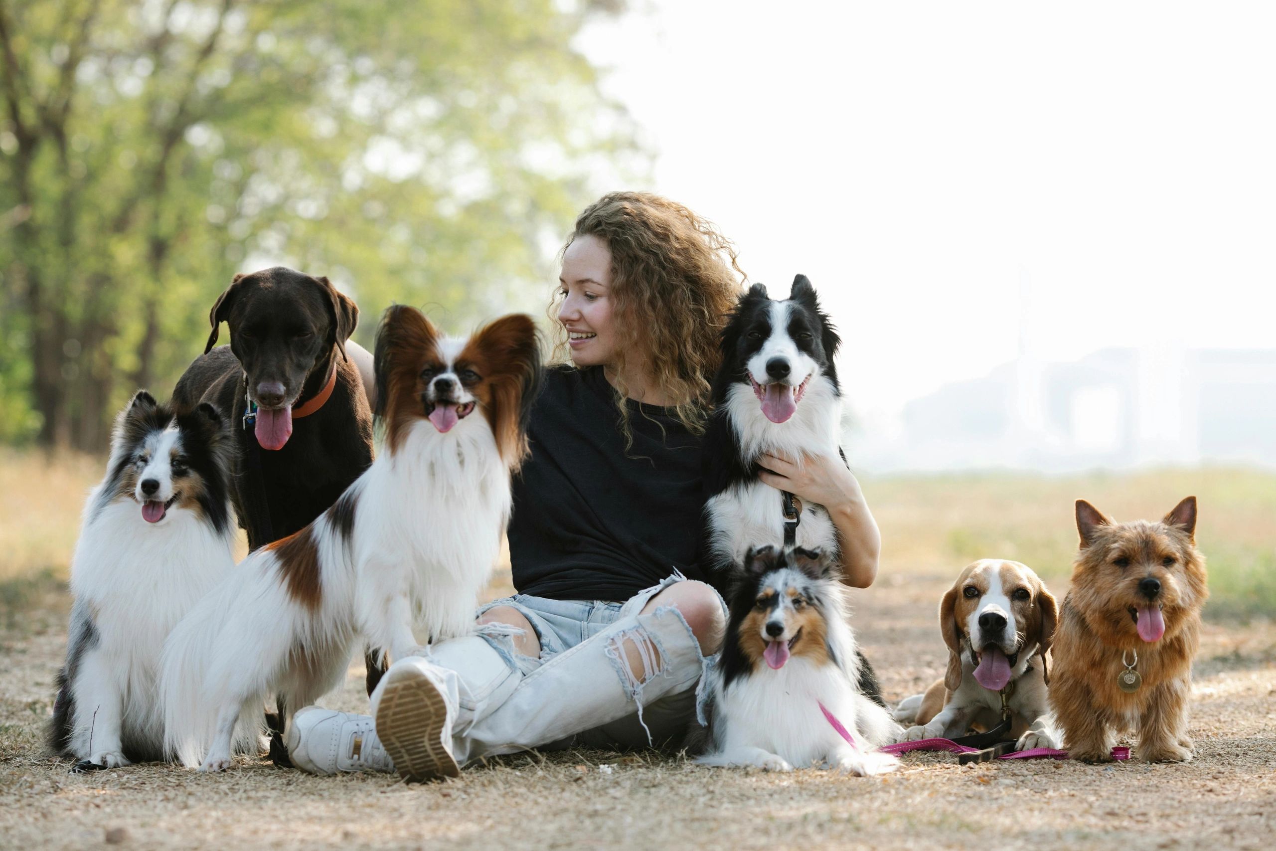 Woman sit on the floor with the multiple puppies and dgs