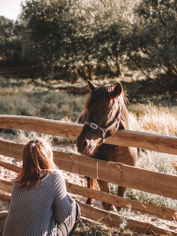 Woman looking on the horse