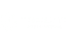 TESSELLATE AUDIO VISUAL