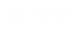 TESSELLATE AUDIO VISUAL