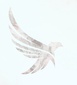 Lori Histand Photography