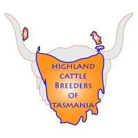 Highland Cattle Tasmania