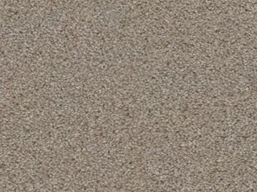 Close-up of textured carpet.