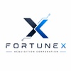 FortuneX