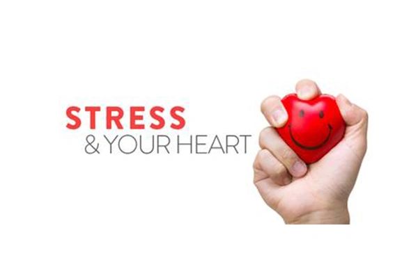 Has HDL, the Good Cholesterol, Been Hyped?