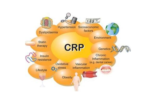 Study Questions: CRP Test to Assess Heart Disease Risk