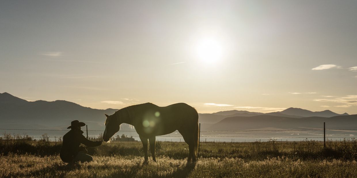 Horse Trainer, James Phillips, is a proud supporter of STABLE pro and our invoicing program. 