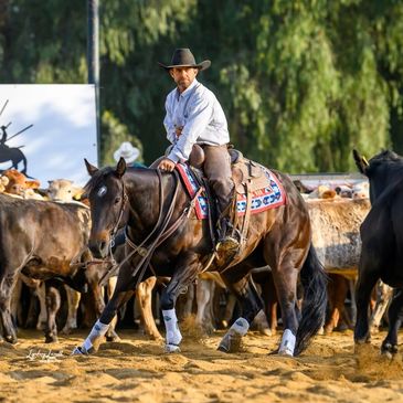 Horse trainer, Kirk Ferris, supports STABLE pro and the equine invoicing program.