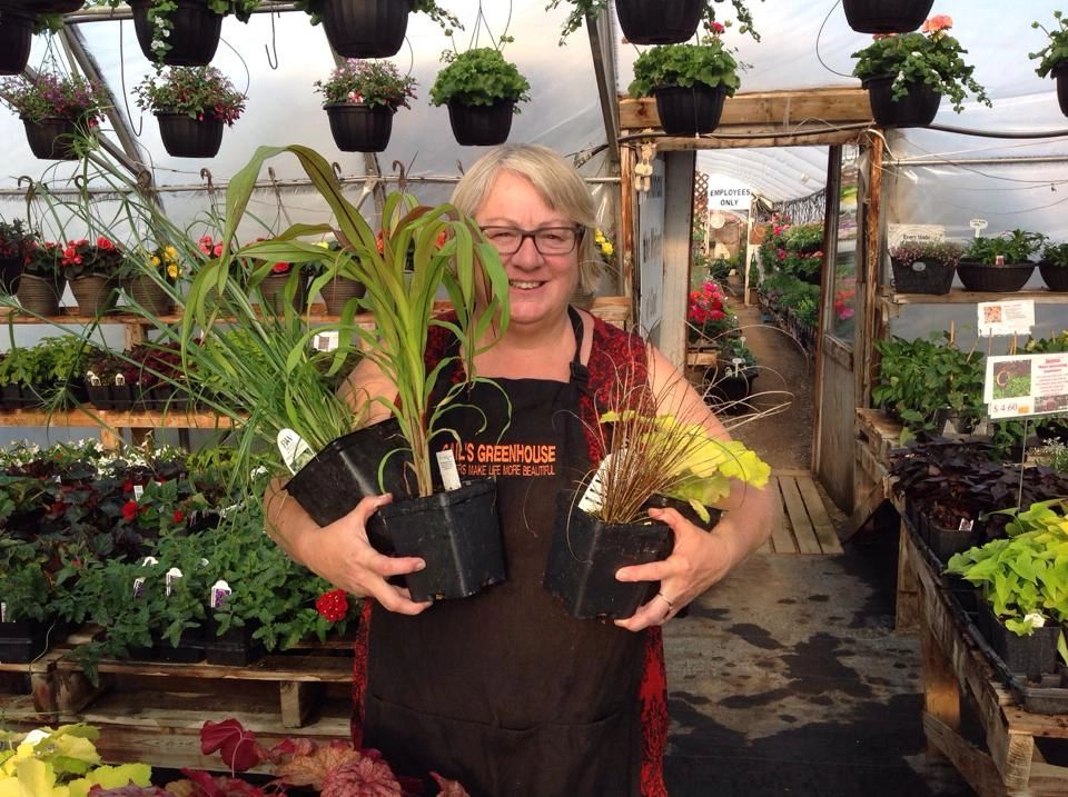 Gail's Greenhouse Greenhouse Cudworth, Saskatchewan