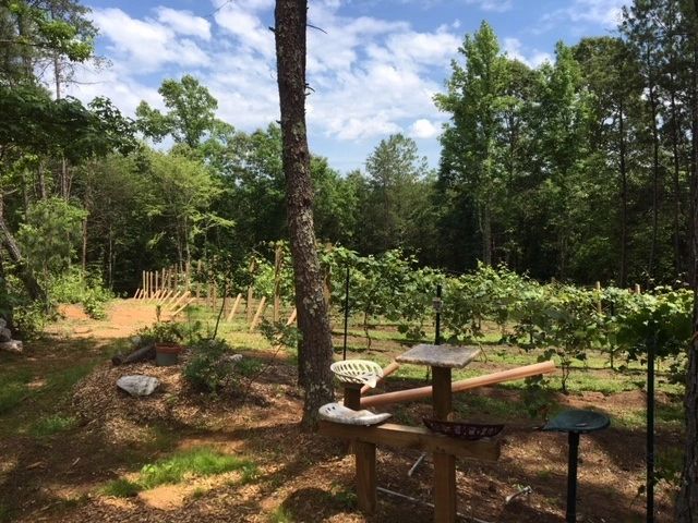 Wellborn Winery hero image