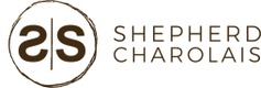 Shepherd Charolais