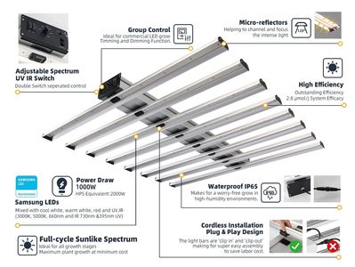 Grow Light 