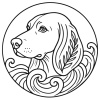 STORY HOUND 