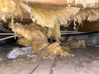Crawl Space Repair in Savannah, GA.
