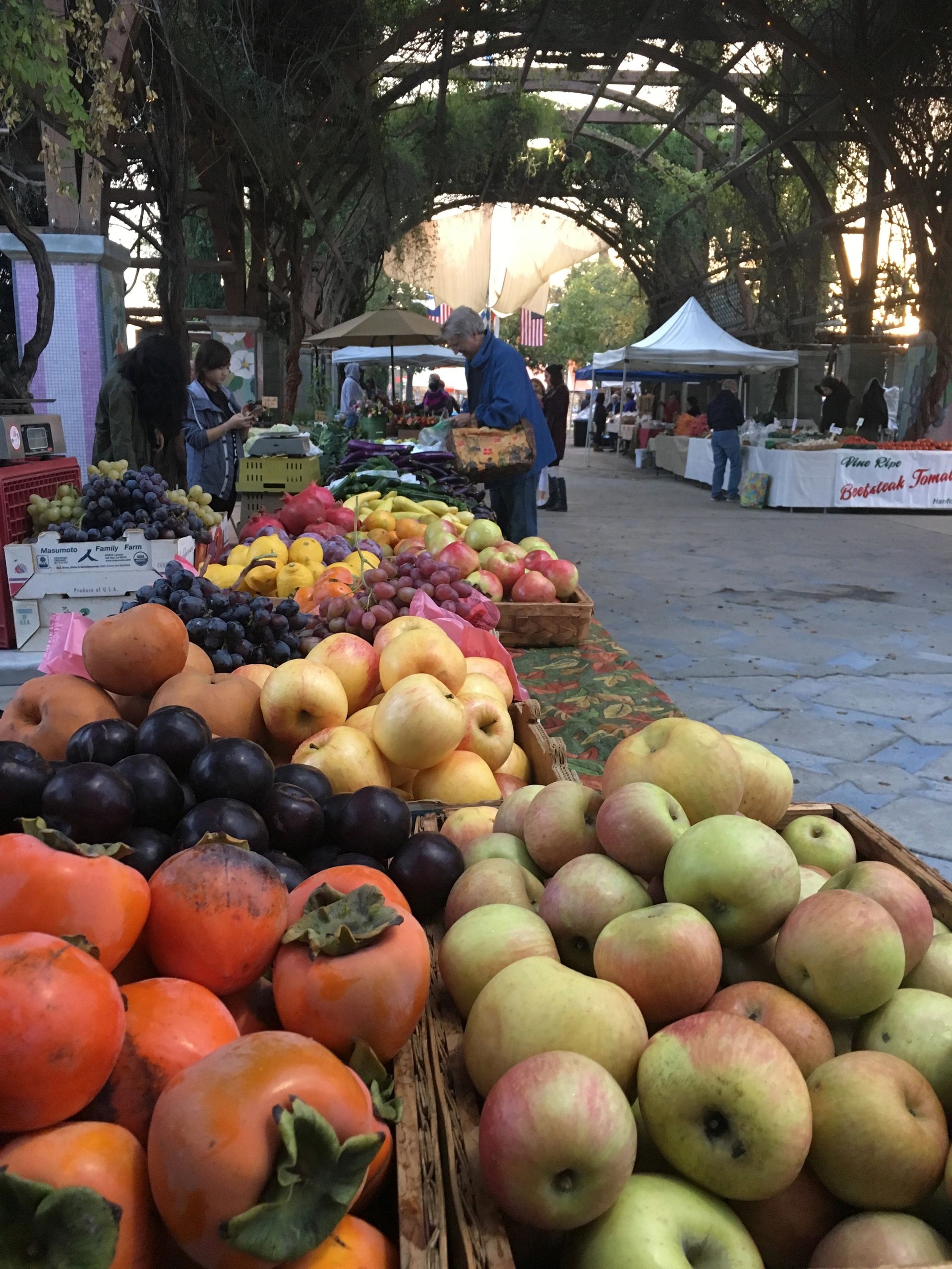 Vineyard Farmers Market Produce, Artisan Purveyors