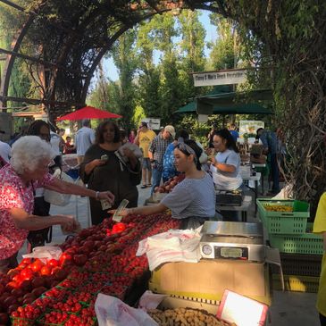 Vineyard Farmers Market - Produce, Artisan Purveyors