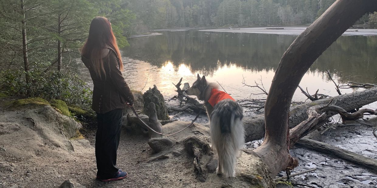 Person and dog by a serene lakeside surrounded by trees at sunset.