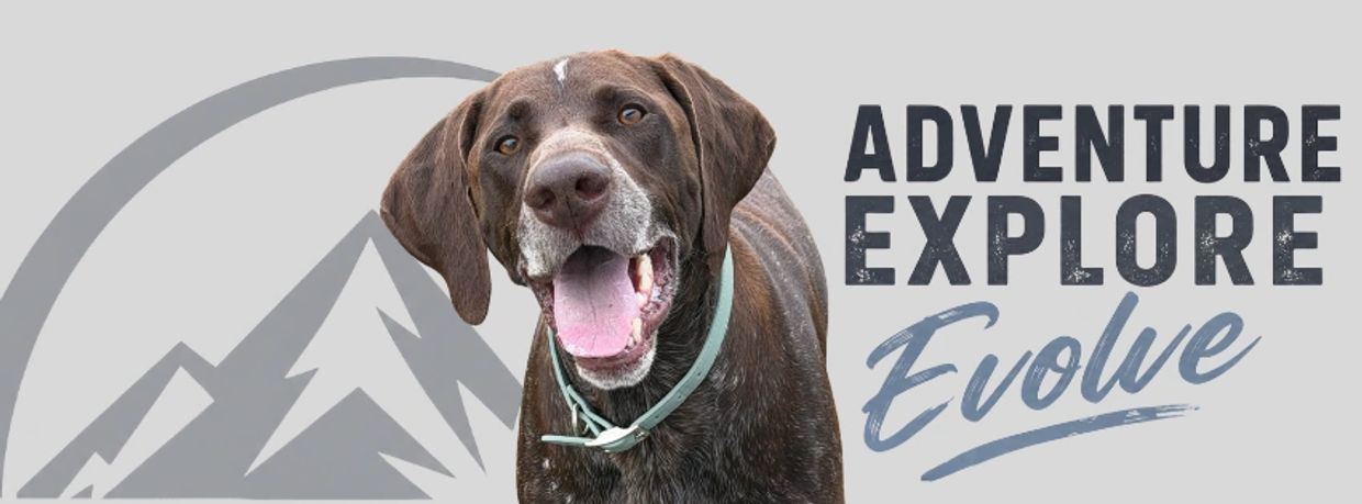 Happy dog with adventure-themed text and mountain graphic background.