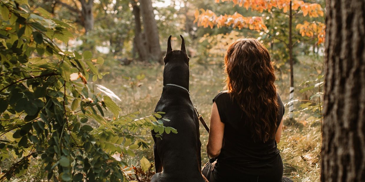 Trainer, Cathy Eastman, sitting in a clearing with her dog Legend 