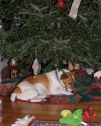 image702