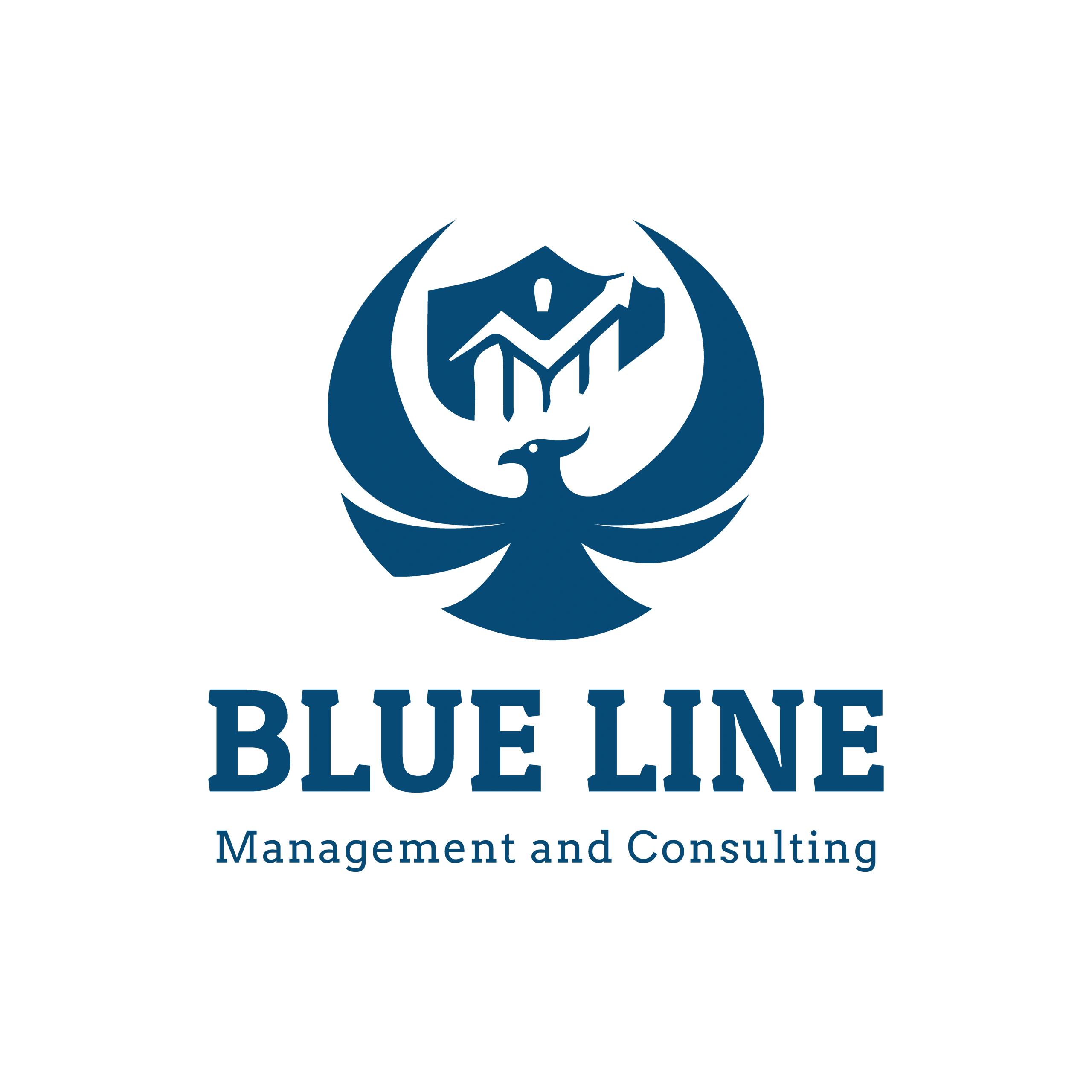 Blue Line Management and Consulting