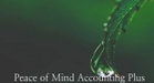 peaceofmindaccountingplus.com
