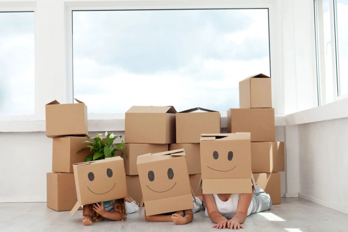 Moving boxes kit 6