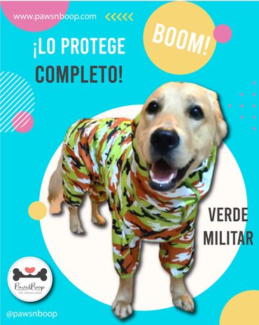 Capote impermeable poncho para perros Panama