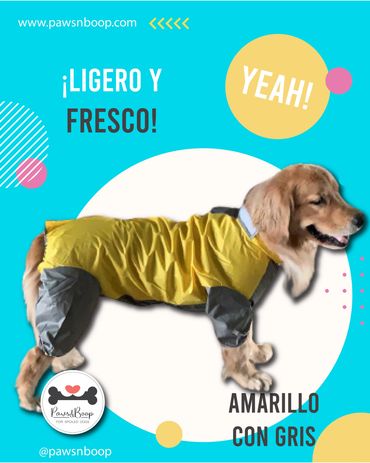 Capote impermeable poncho para perros Panama