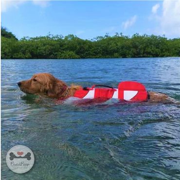 Flotador para perros modelo Nemo Panama