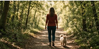 A woman walking her dog on a sunlit forest path.