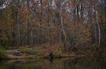 Sycamore Landing, 2020, Pigment Print