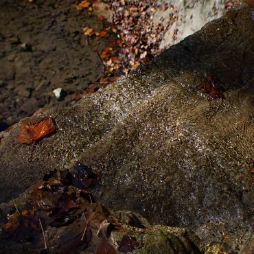 Spotlight, 2020, Pigment Print