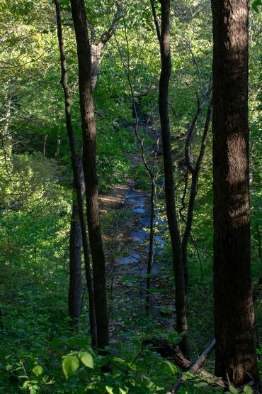 McCormick's Creek, 2020, Pigment Print