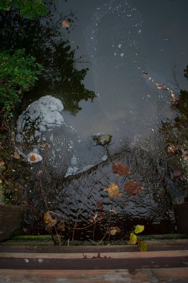 Evening Stroll, 2020, Pigment Print