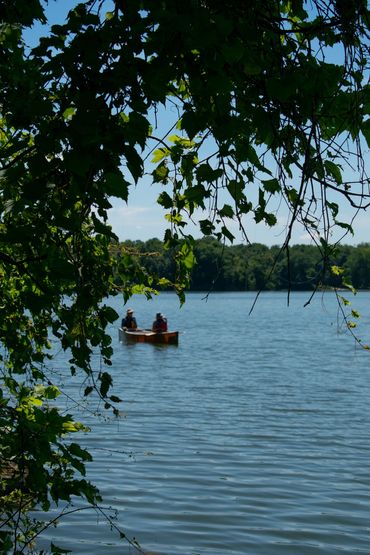 Summer Camp, 2020, Pigment Print