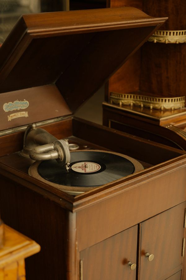 sapanca gölü kenarında nostaljik hatırları canlandıran antika plak çalar 