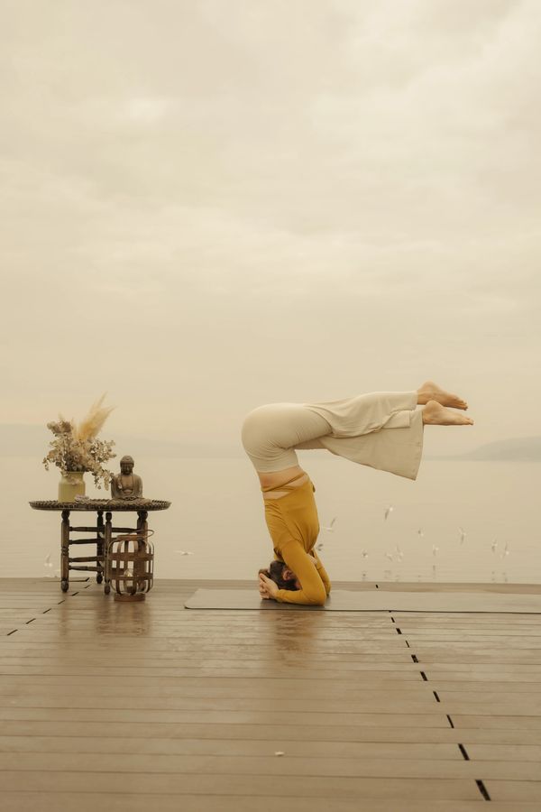 sapanca gölü kenarında iskelede göl havası esintisi eşliğinde yoga ve vücut egzersizi yapan kadın