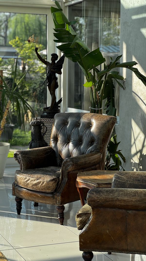 heykel, doğa, zarif bahçe, bahçe manzaralı koltuk