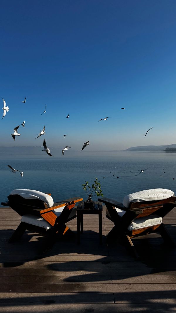 sapanca, sapanca gölü, sapanca gölüne sıfır otel, göl kenarında cafe hizmeti, lale otel