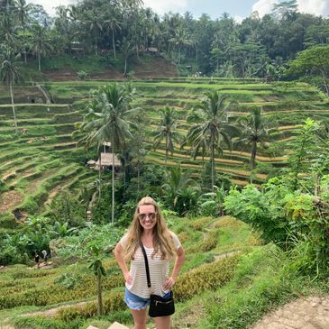 Bali rice terrace