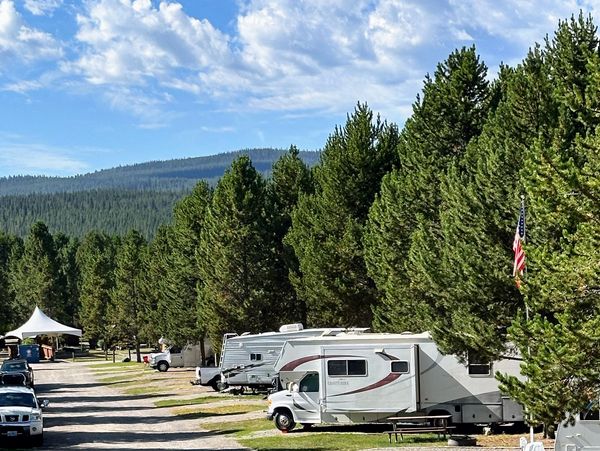 RVs parked at KOA Westgate Yellowstone surrounded by tall pine trees and mountains in the background