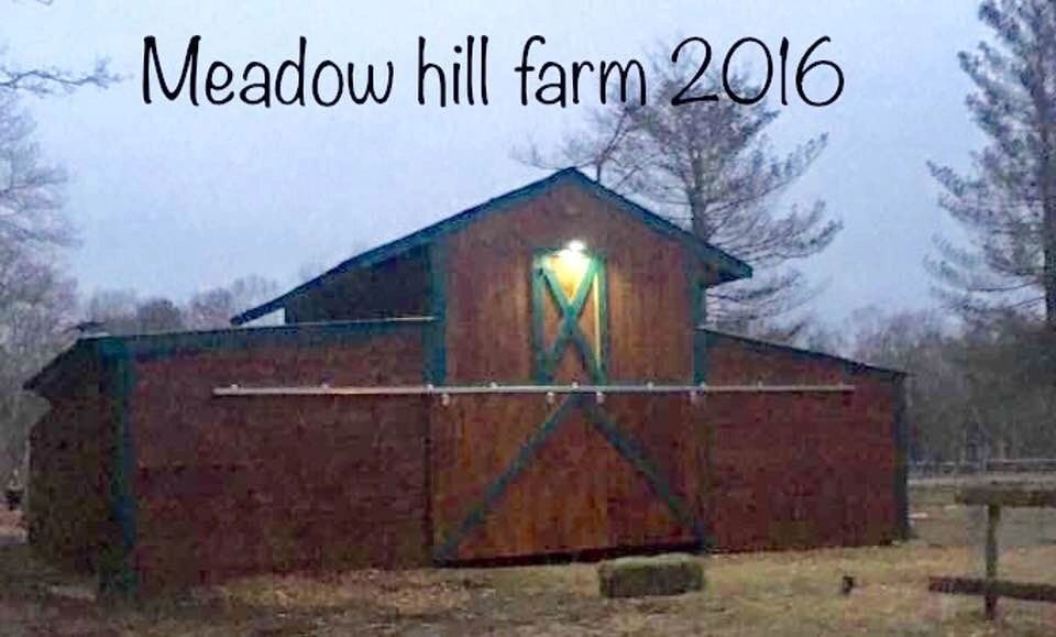 Meadow Hill Farms