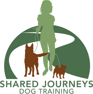 Shared Journeys Dog Training